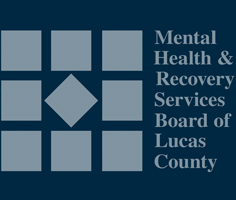 Ohio Mental Health and Recovery Services Board